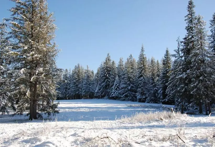 Fotos del hotel Willa Pan Tadeusz:  24