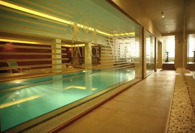 Fotos del hotel Palace  & Spa:  3