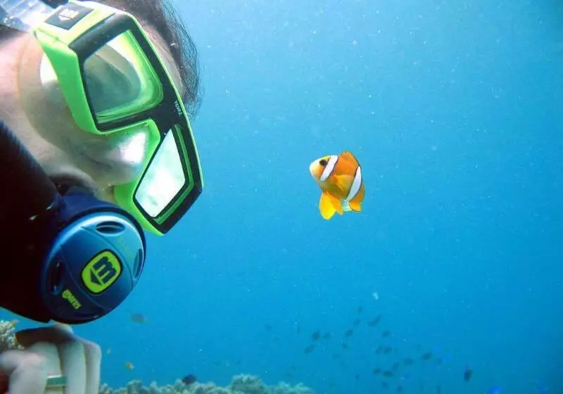 Fotos del hotel Blue Star Dive & Resort:  7