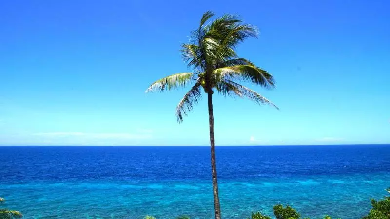 Fotos del hotel Blue Star Dive & Resort:  15