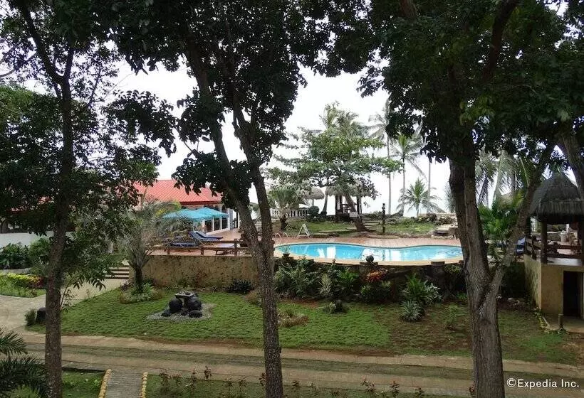 Fotos del hotel Blue Star Dive & Resort:  10