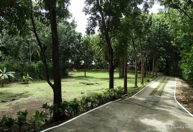 Fotos del hotel Blue Star Dive & Resort:  25