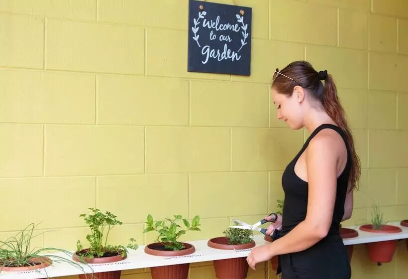 Fotos del hotel Cairns Central Yha:  7