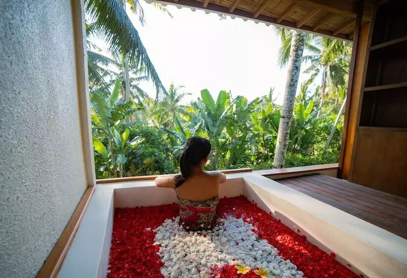 Fotos del hotel Pertiwi Bisma 2:  6