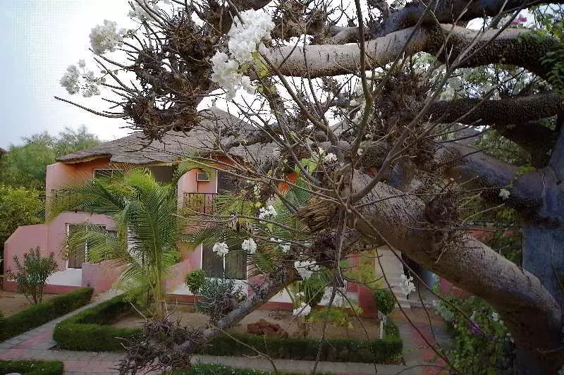 Fotos del hotel Royal Saly:  13