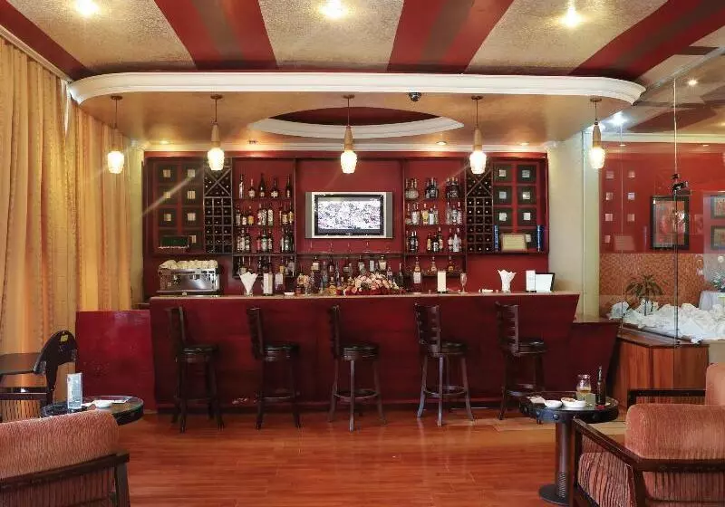 Fotos del hotel Jupiter International Hotel - Bole:  4