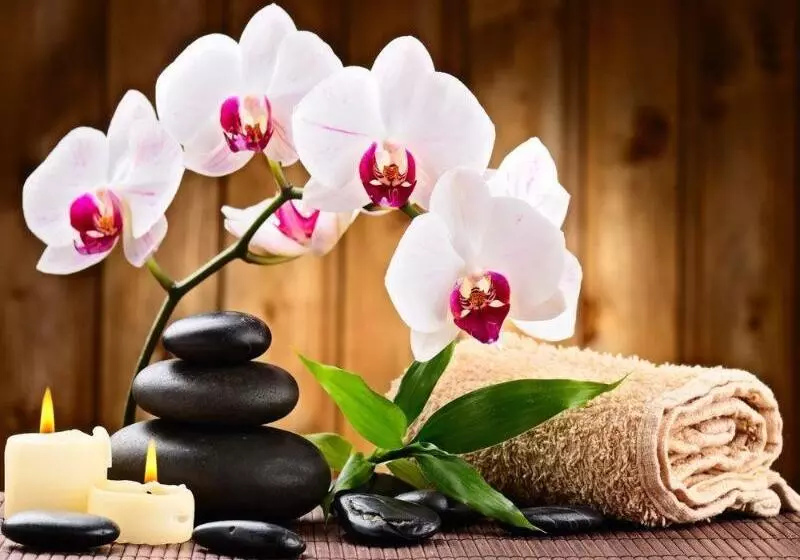 Fotos del hotel Favehotel Cimanuk Garut:  6