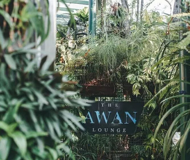 Fotos del hotel Kosenda:  14