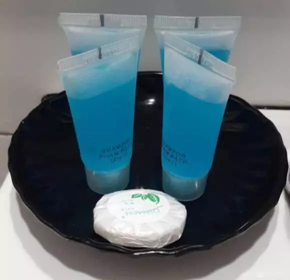 Fotos del hotel Manja:  8