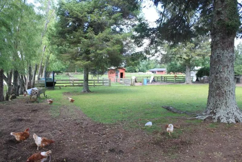 Fotos del hotel Rotorua Hideaway Lodge:  23