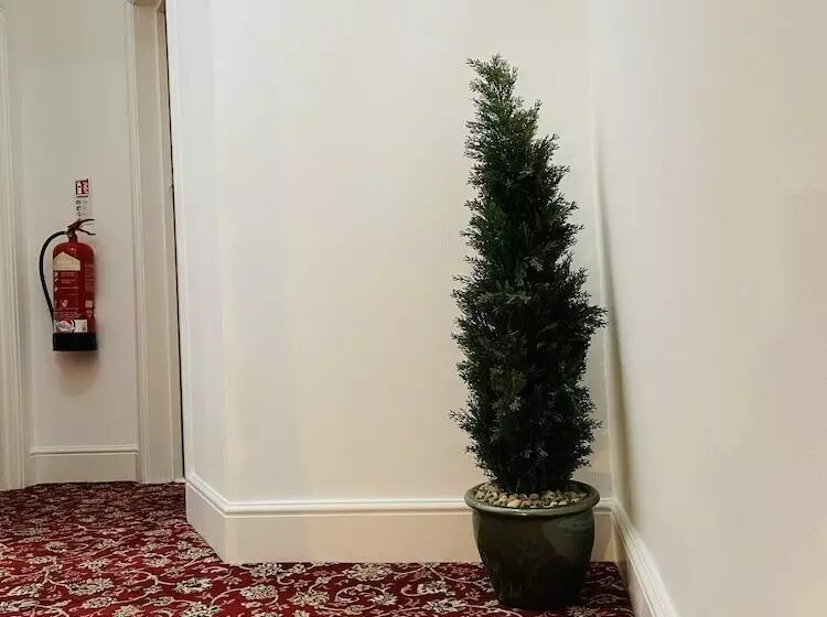 Fotos del hotel Hudson:  19