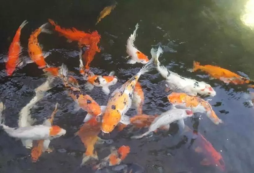 Fotos del hotel Shaftsbury Stellar Cyberjaya:  10