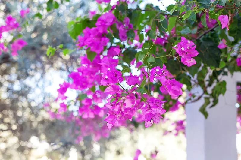 Fotos del hotel The Ship Inn:  8