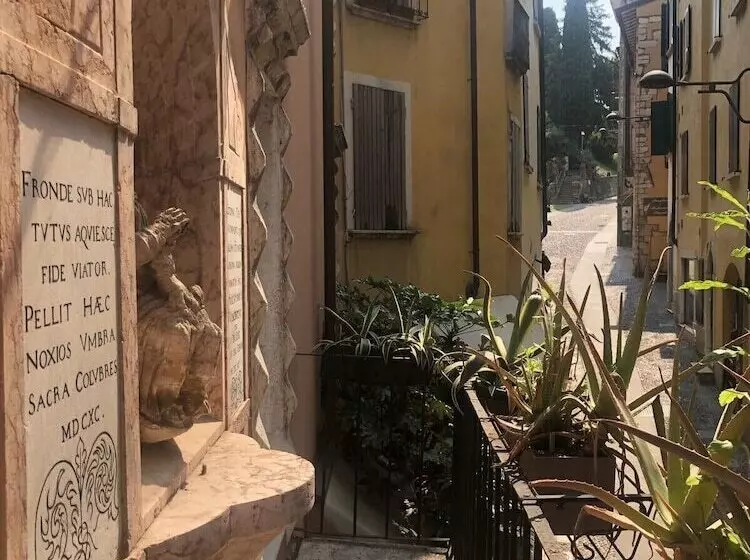 Fotos del hotel Alessi  Trattoria:  17