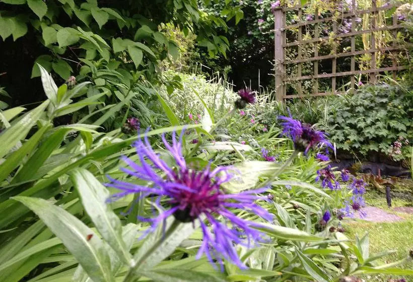 Fotos del hotel Ashdene House:  5