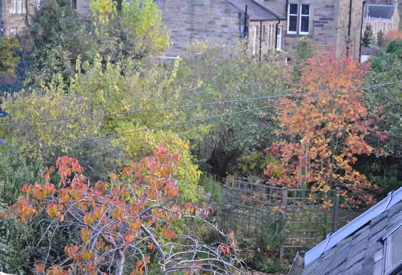 Fotos del hotel Ashdene House:  13