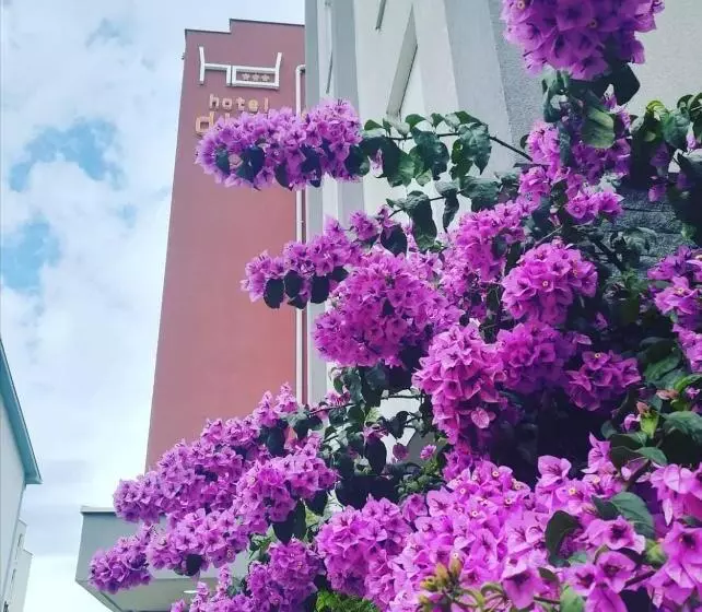 Fotos del hotel Dina:  11