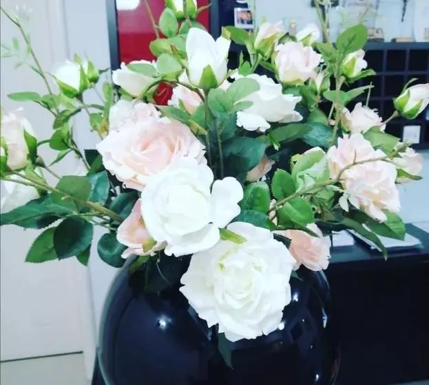 Fotos del hotel Dina:  10