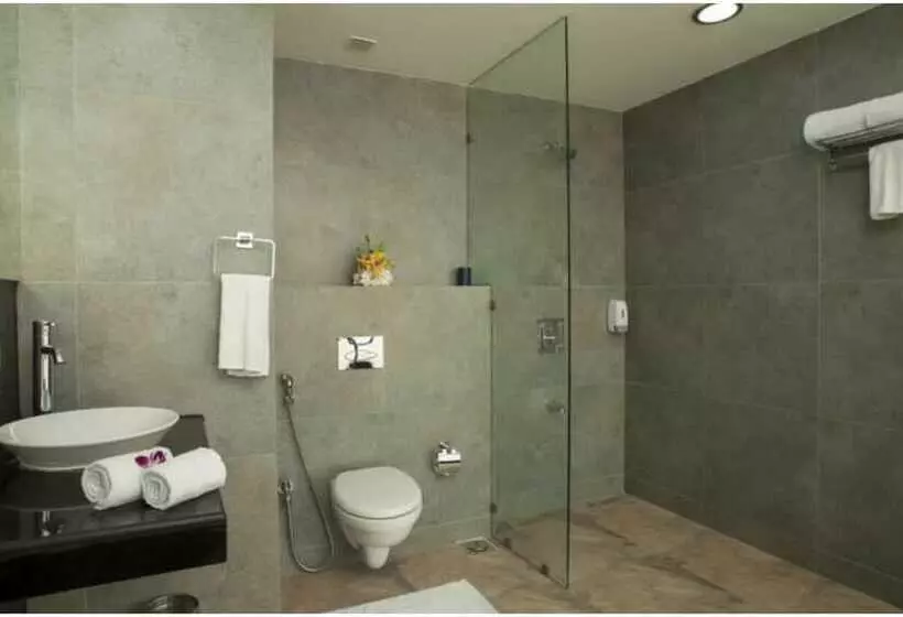 Fotos del hotel Mango Hotel Navi Mumbai:  12