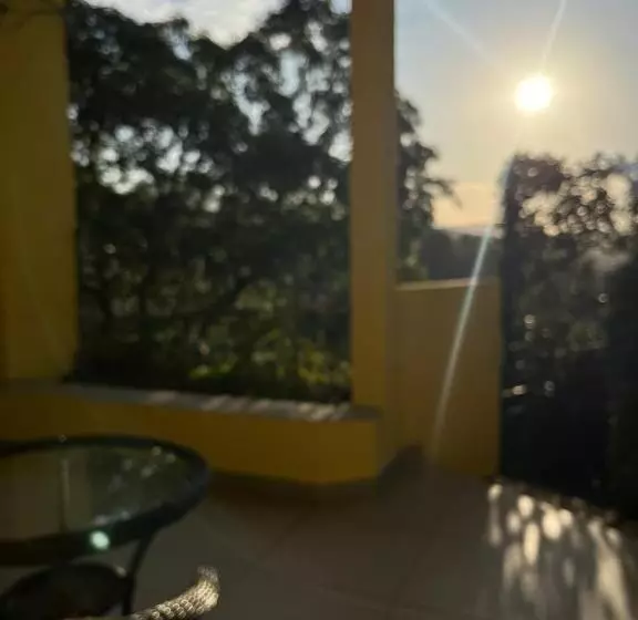 Fotos del hotel Sant  Martre:  7