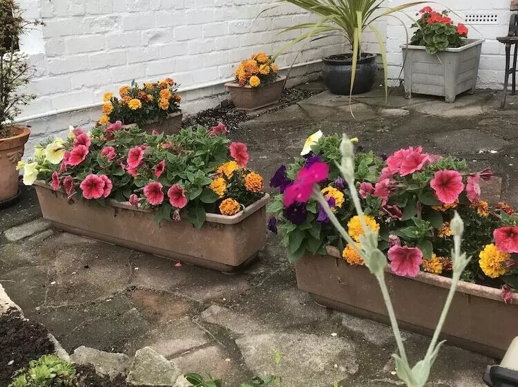 Fotos del hotel Dolphin Guesthouse:  7