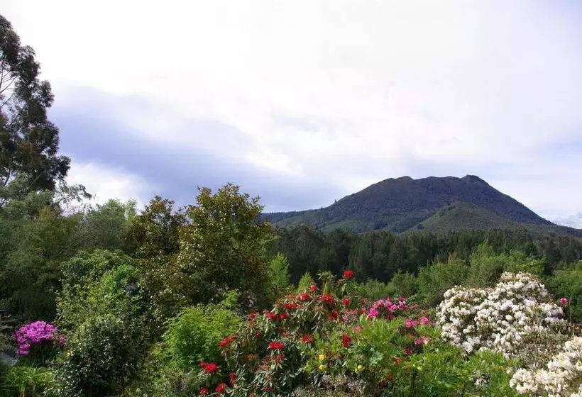 Fotos del hotel Kauri Point Luxury Bed & Breakfast:  3