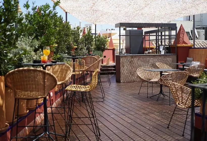 Fotos del hotel Palacio Pinello:  14