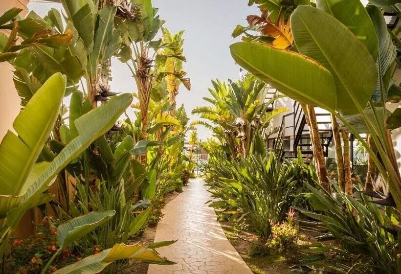 Fotos del hotel Alegria Palacio Mojacar Adults Only:  63