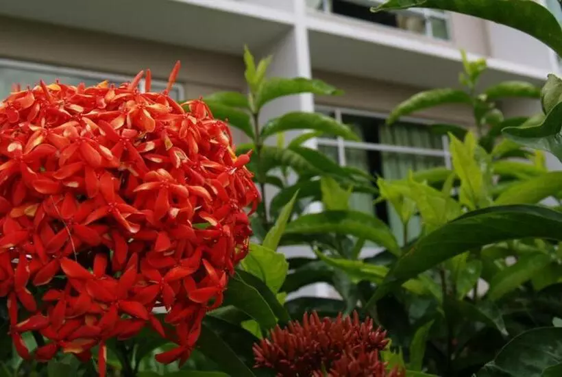 Fotos del hotel Straits View Hotel Jb:  17