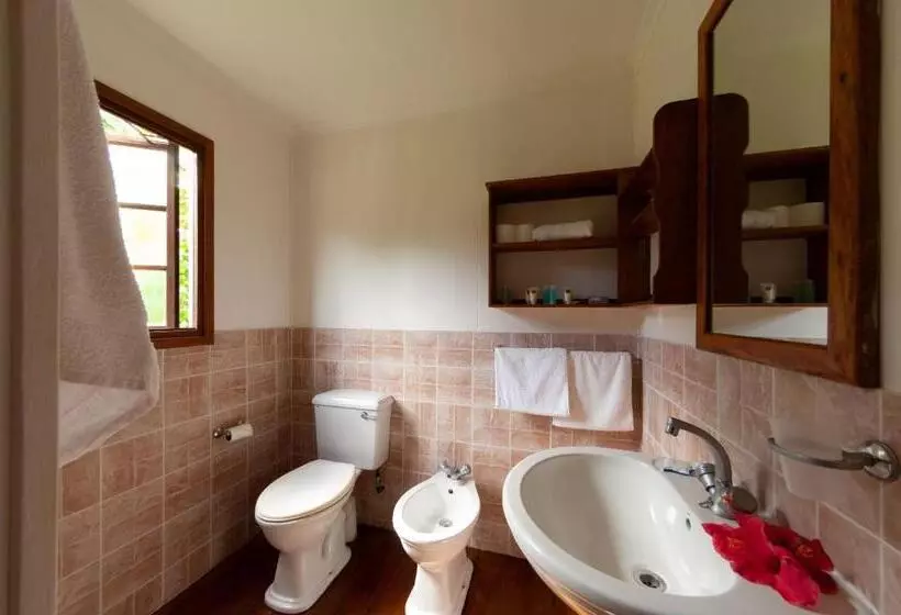 Fotos del hotel Iles Des Palmes Eco Resort:  5