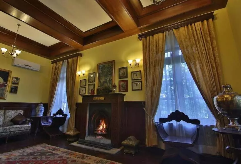 Fotos del hotel The Himalayan:  12