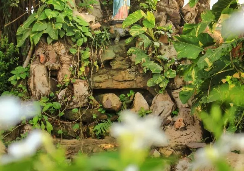 Fotos del hotel Don Bosco  School:  8