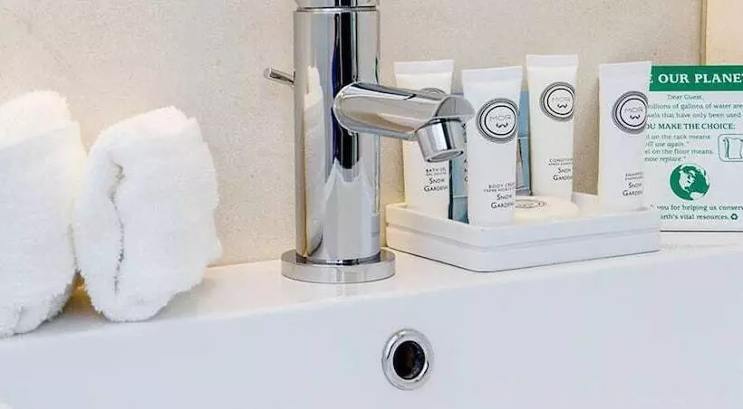 Fotos del hotel Leon Hotel Les:  7