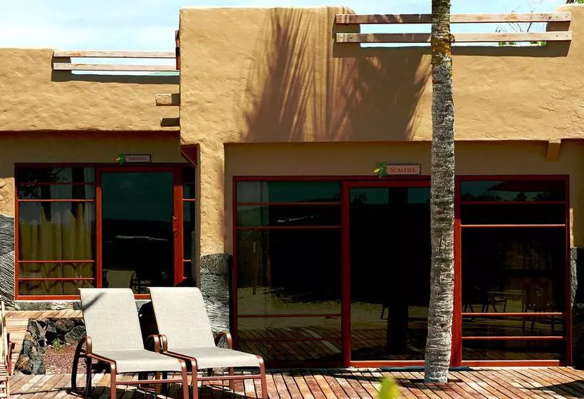 Fotos del hotel Red Mangrove Lodge Isabela:  23