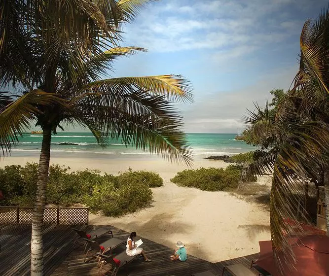 Fotos del hotel Red Mangrove Lodge Isabela:  6