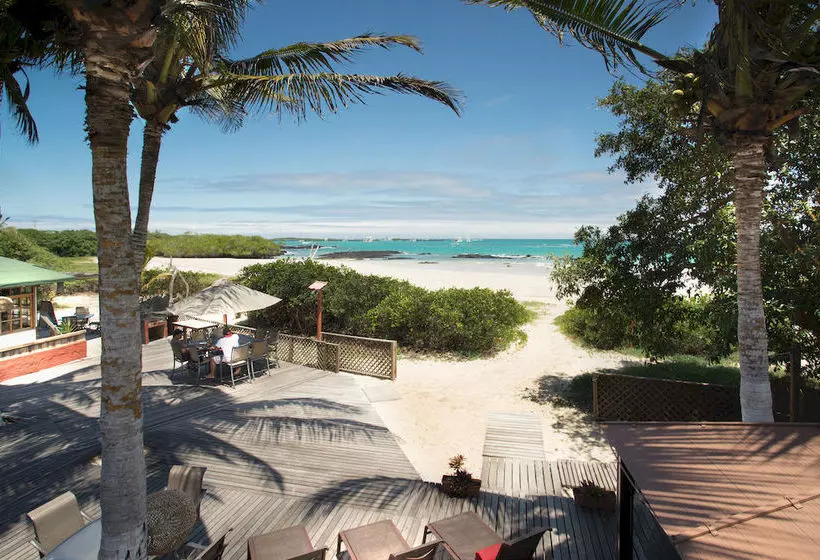 Fotos del hotel Red Mangrove Lodge Isabela:  19