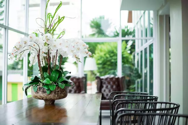 Fotos del hotel Embryo:  6