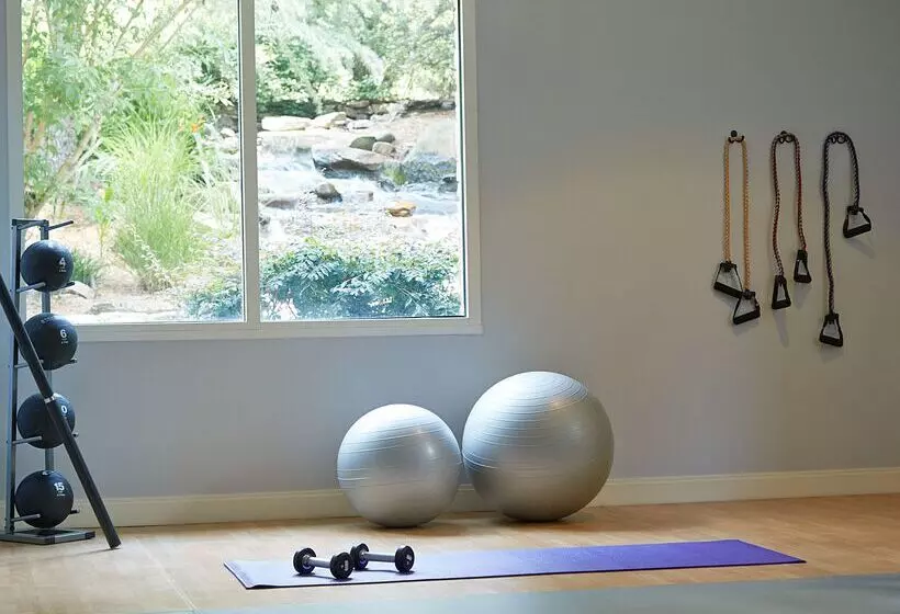 Fotos del hotel Hyatt Regency Atlanta Perimeter At Villa Christina:  20