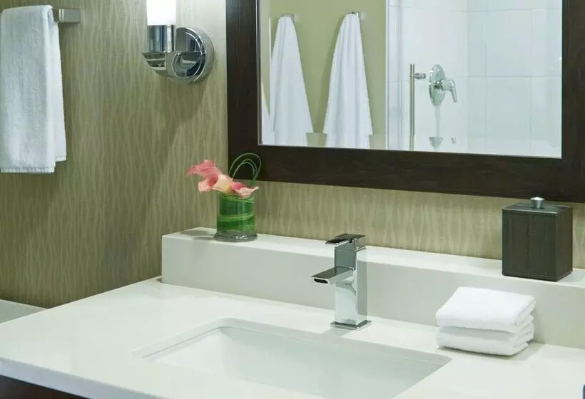 Fotos del hotel Hyatt Regency Atlanta Perimeter At Villa Christina:  8