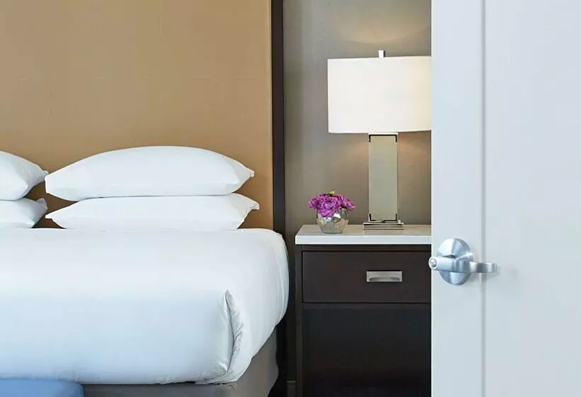 Hyatt Regency Atlanta Perimeter At Villa Christina