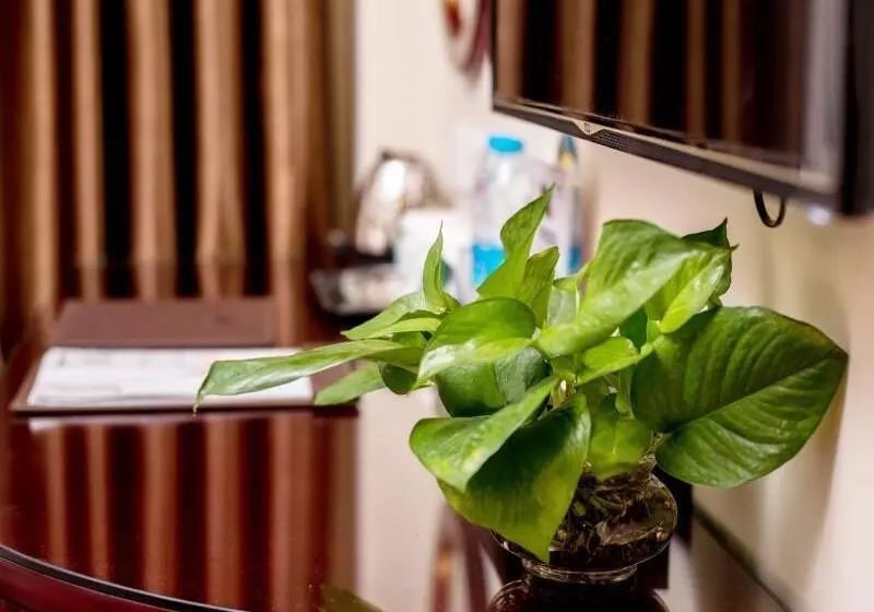 Fotos del hotel Dongzhi:  7