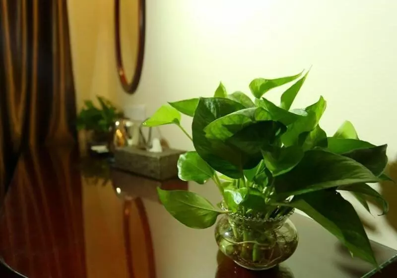 Fotos del hotel Dongzhi:  18