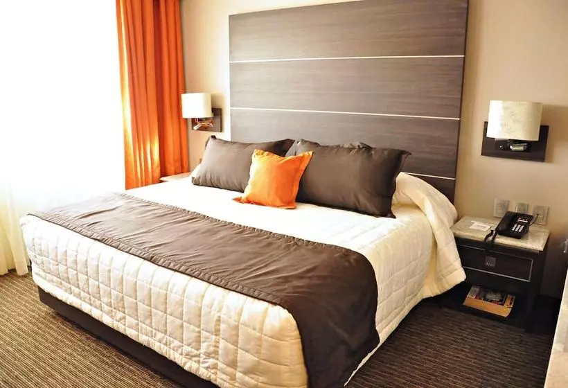 Fotos del hotel Real Alameda De Queretaro:  8