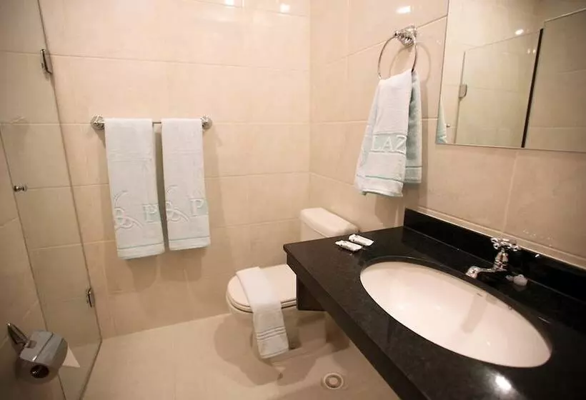 Fotos del hotel Soneca Plaza:  12