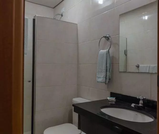 Fotos del hotel Soneca Plaza:  6