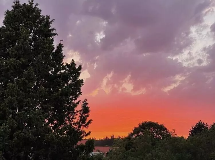 Fotos del hotel Ivona:  9