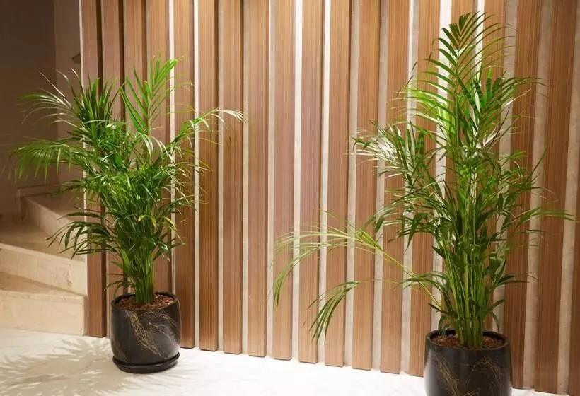 Fotos del hotel Veramor Hotel Wellness & Spa:  4