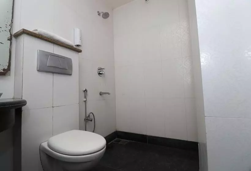 Fotos del hotel The Hotel Mumtaz Mahal:  6