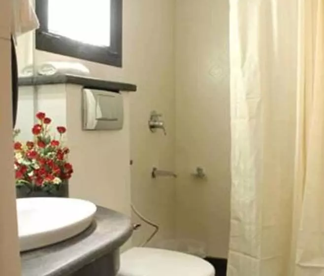 Fotos del hotel The Hotel Mumtaz Mahal:  15