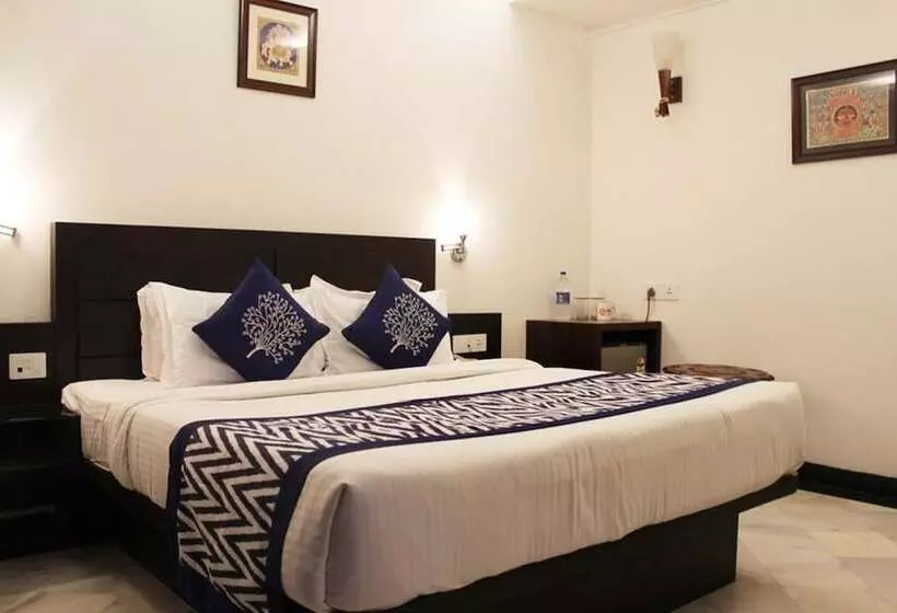 Fotos del hotel The Hotel Mumtaz Mahal:  19